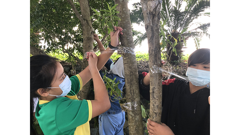 彭靖堅與台電同仁帶著花苗走入校園，讓在地學童透過參與種植的過程，培養對蘭嶼原生植物的重視。
